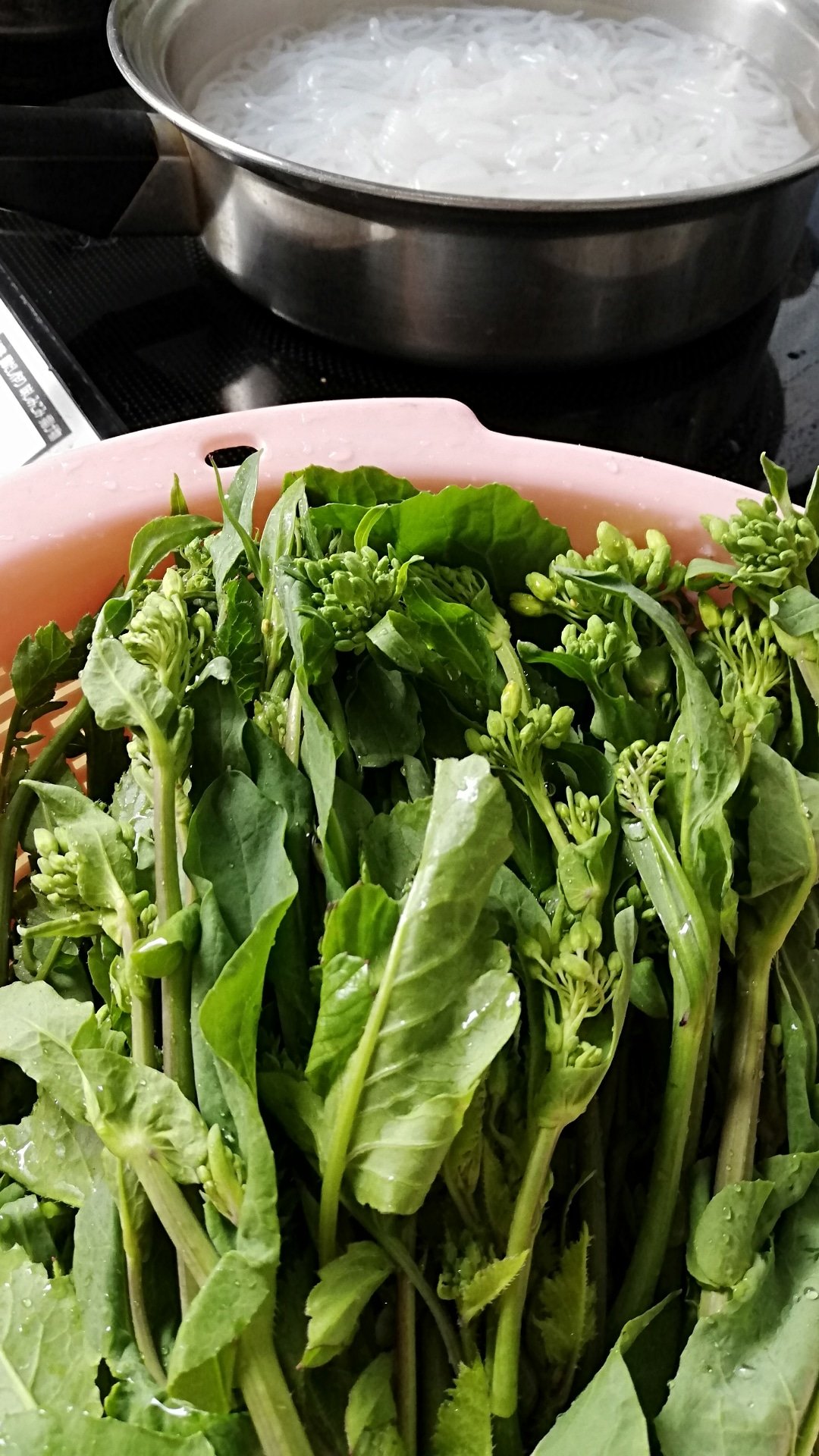 تويتر Nekozoumayumi على تويتر 菜の花摘んだよ しらたきペペロンチーノ オリーブ油ニンニク 鷹の爪ベーコン玉ねぎ クレイジーソルトのみ 河川敷採集 菜の花 ペペロンチーノ風 月下虫音 お料理ナカジー 中島浩二チャンネル ナカジーyoutube 大人の世界史