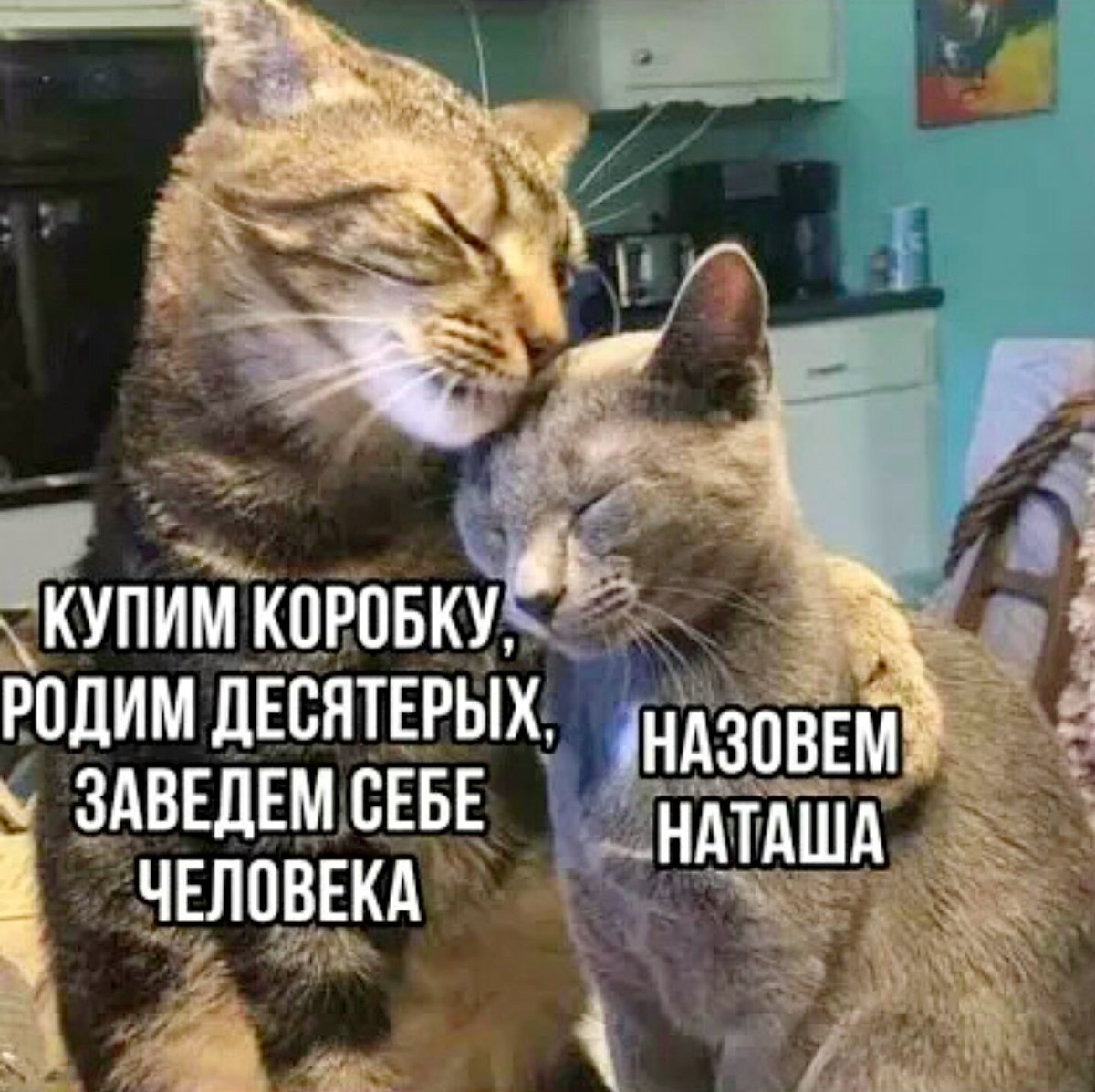 🇵​🇷​🇮​🇰​🇴​🇱​  🇸​🇪​🇲​🇦​ 😂))