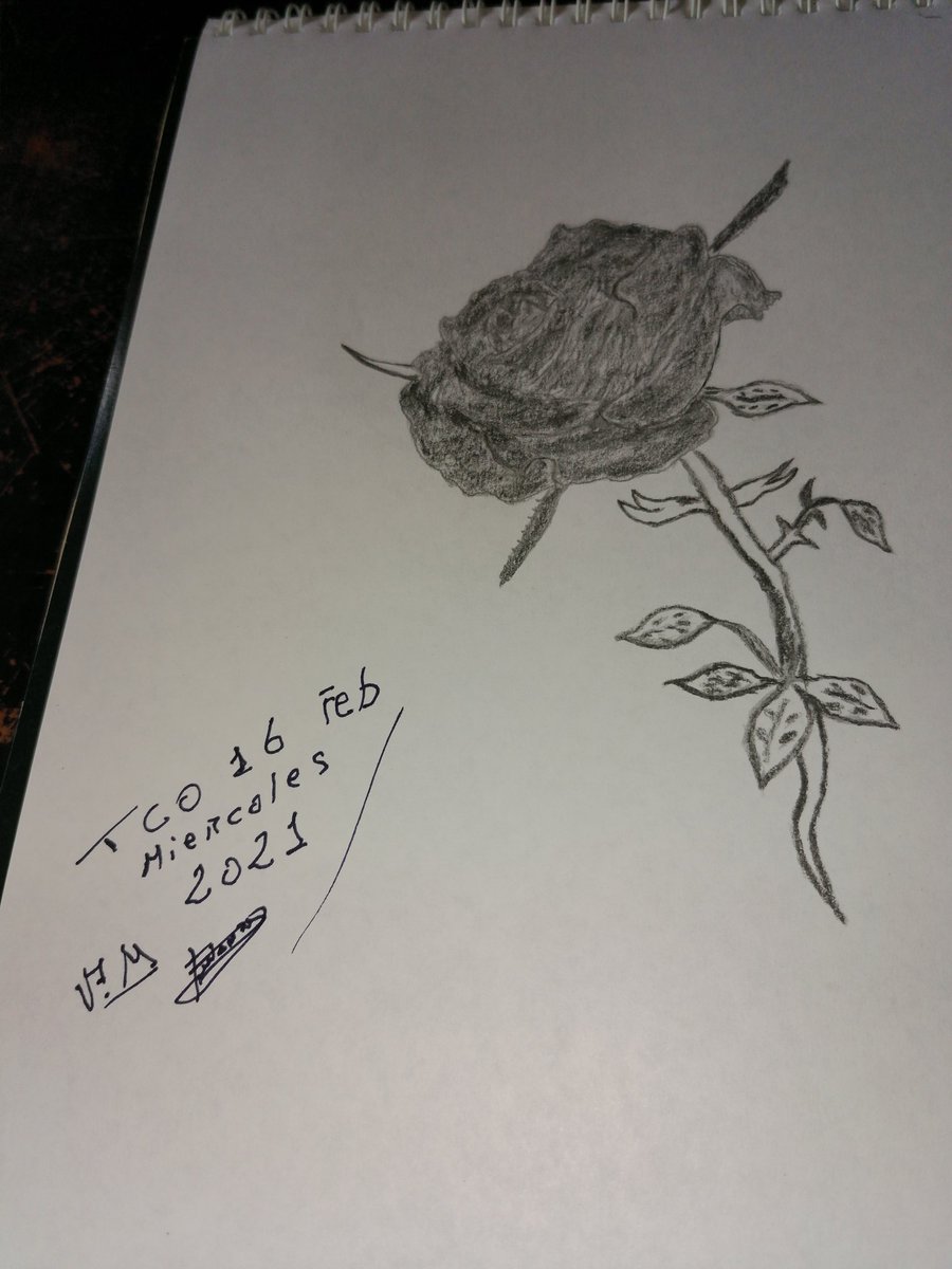 Creación propia, lápiz grafito y tinta <a href="/RomuloRoyo/">Romulo Royo</a> <a href="/LuisRoyoOficial/">Luis Royo</a> <a href="/MALEFICTIME/">Malefic Time</a> <a href="/juanroyoabenia/">Juan Royo Abenia Goyanes Tul</a>