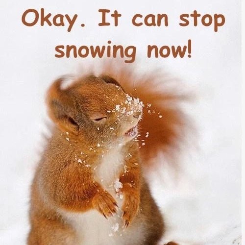 After much deliberation by the administration team, we have made the decision to CANCEL school for Thursday, February 18.

Childcare WILL be available.

Please stay safe, and we look forward to seeing everyone on Friday!
