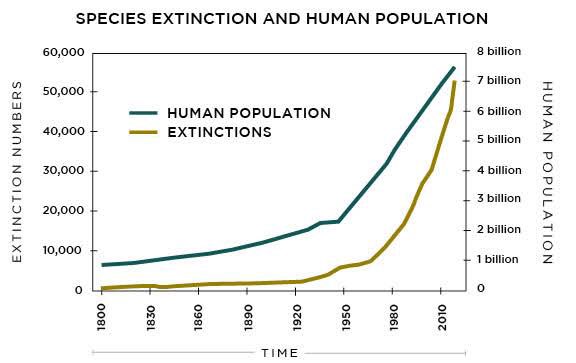 DEFORESTATION Growing populations meanincreased demand for food, and a corresponding need to convert forests to agricultural land. 8 Land shortages in traditional farming areas result from the combination of several factors— among them a growing number of people,