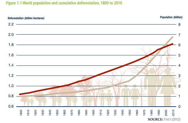 DEFORESTATION Growing populations meanincreased demand for food, and a corresponding need to convert forests to agricultural land. 8 Land shortages in traditional farming areas result from the combination of several factors— among them a growing number of people,