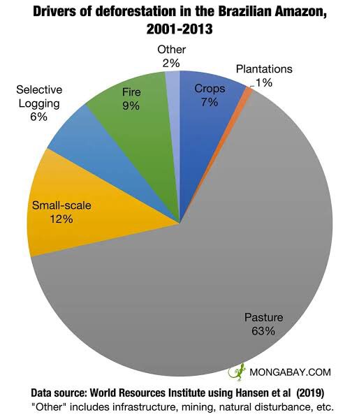 a high population density, and the accumulation of previous population growth.9Most land conversion from natural states to human uses is happening in the developing world, where population growth is most prevalent.10 In 2002, approximately 47 percent of the Brazilian Amazon
