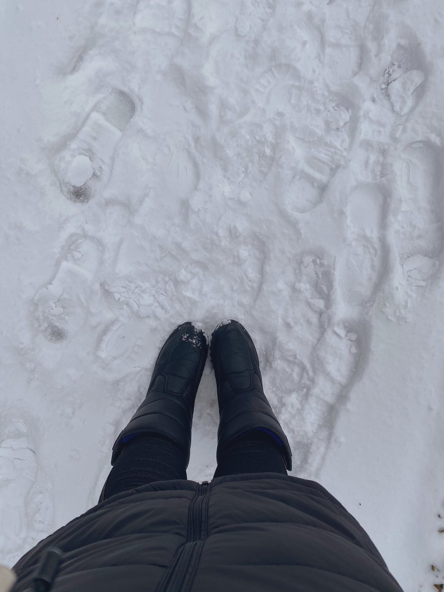 ashleytomberlin's tweet photo. days like this i miss living up north https://t.co/7ZdiPX0XD3