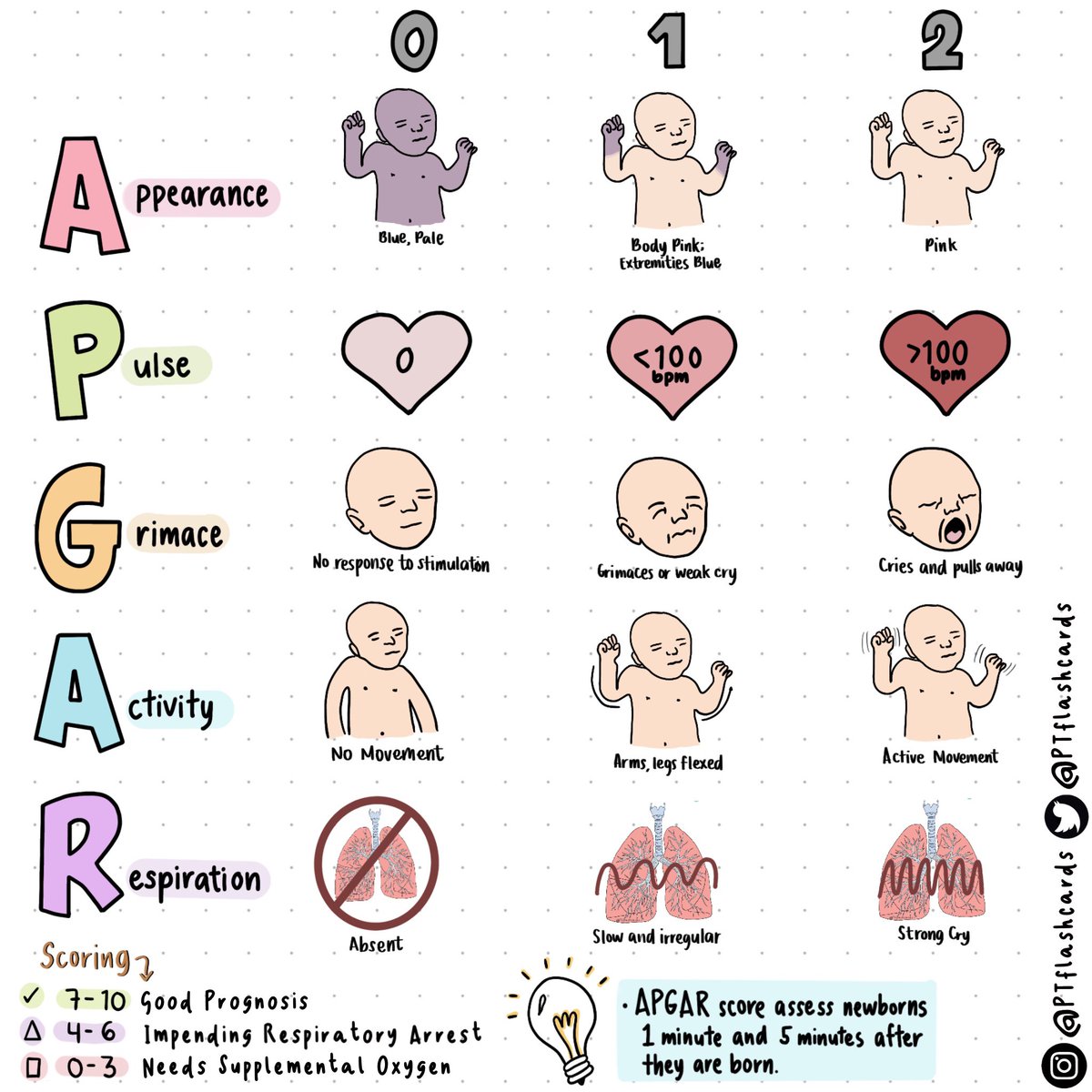 APGAR SCORE ✨
- A score in the range of  3 to 4 indicates the need for bag and mask ventilation; a score of  5 to 7 requires blowby oxygen; &amp; a score of  8 to 10 is considered typical for term newborns, &amp; the infant does not require resuscitation.

#Pediatrics #APGAR #Medicine