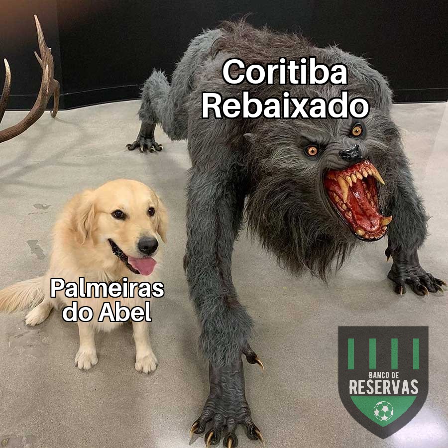 Banco_Reservas's tweet photo. Voltaram do Catar e deixaram o futebol por lá… 
·
·
·
·
·
#CFCxPAL #TNTsports #Brasileirão #Brasileirão2020 #Coritiba #Palmeiras https://t.co/LEP4yAMNXV