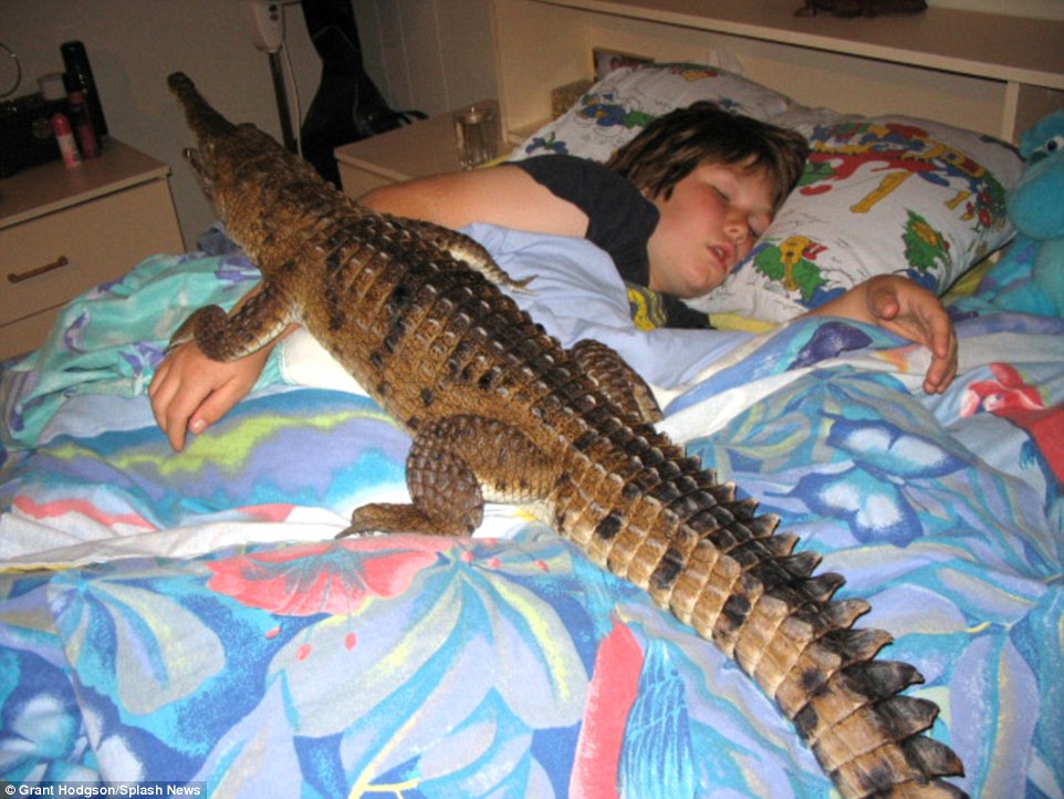 GatorsDaily's tweet photo. when ur dog wakes you up in the morning 😍 https://t.co/zmo0FPZMNA