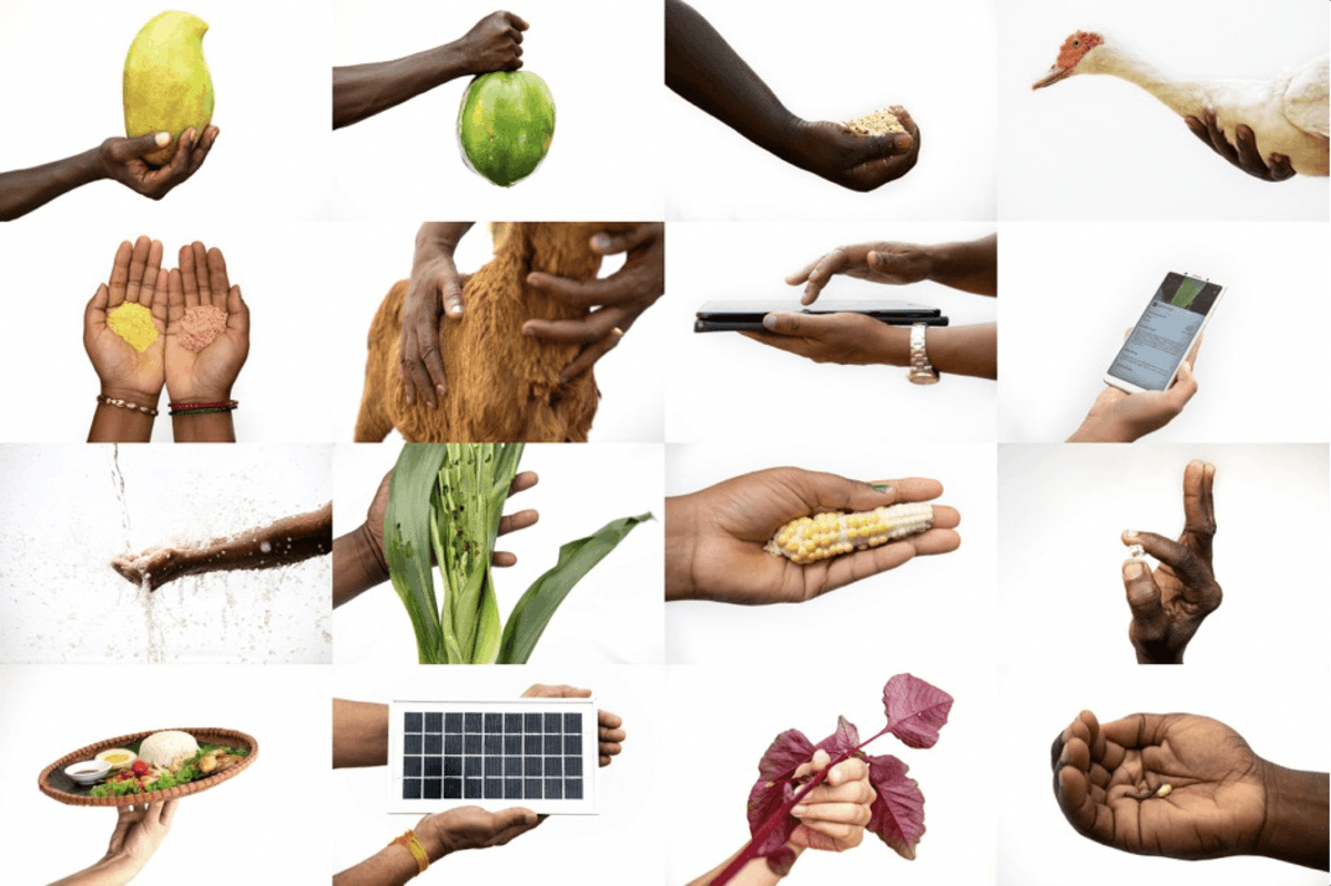 We find ourselves with a once-in-a-generation opportunity to reset how we work &amp; the scale of our ambitions for #FoodSystems, says <a href="/CGIAR/">CGIAR</a> EMT convener <a href="/ClaudiaSadoff/">Claudia Sadoff</a>. 

Find out how #OneCGIAR is seizing the opportunity: bit.ly/36rtAaP