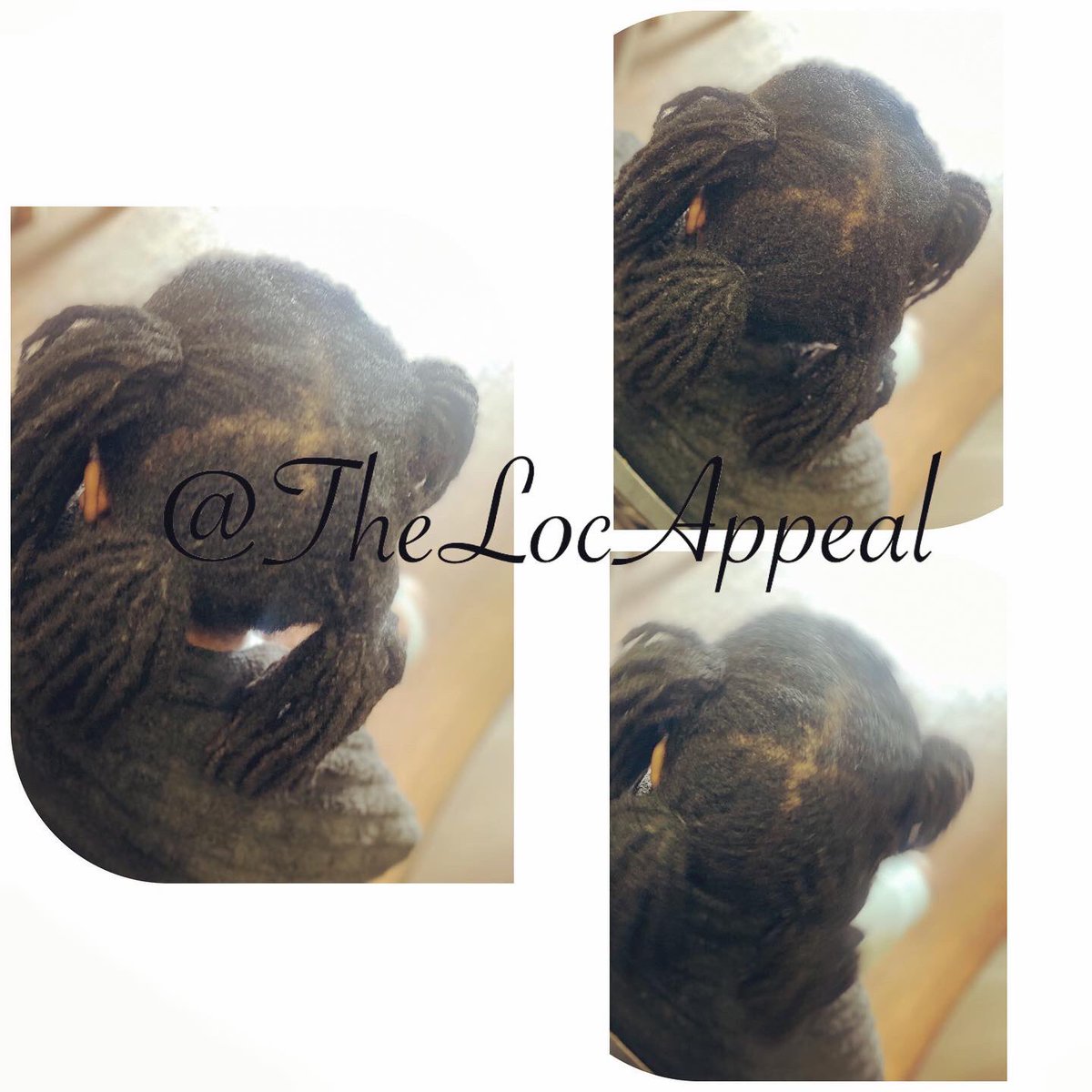 TheLocAppeal's tweet photo. #lahair #losangeleslocs #lastarterlocs #losangeleslocrepair #thelocappeal #loclove #dreadslosangeles #ladreadlocks #losangelesloctician #dreadlocks #dreadlocksinlosangeles #lahairstylist #interlock #chrochetlocs #locexstensions @TheLocAppeal on instagram π₯π₯β‘οΈπ₯ https://t.co/BSrJlubFSP