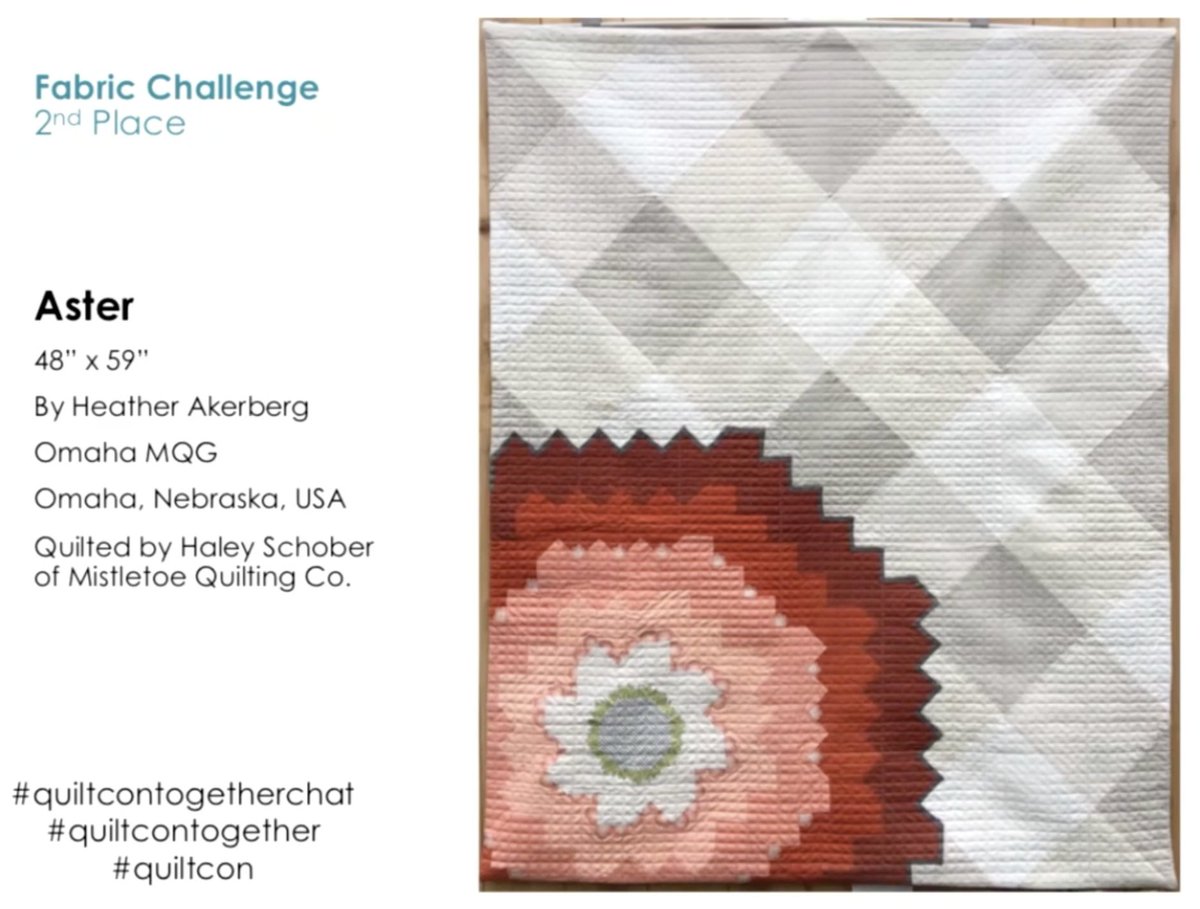 2nd place - Aster by Heather Akerberg