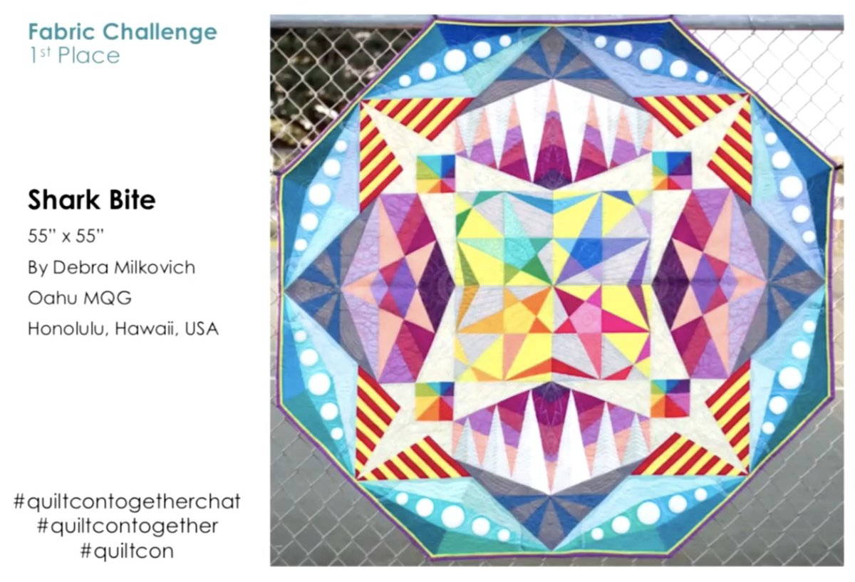 1st place - Shark Bite by Debra Milkavich (another 1st time entry)