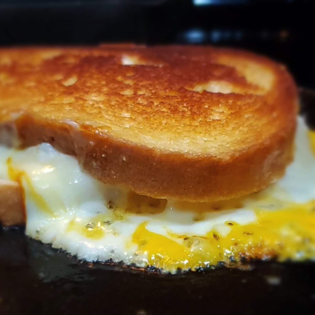 TreySiwek's tweet photo. Feelin these grill cheese vibes. #grilledcheese #grilledcheesesandwich #cheddar #munstercheese #cheese #cheeselovers #modelicious #motasty https://t.co/5yKUNU1lW2