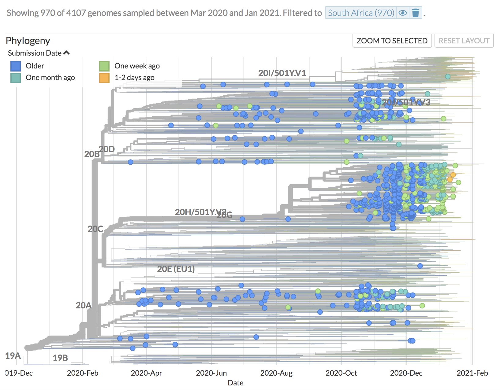 Nextstrain Thanks To Opendata Sharing By Gisaid We Ve Updated T Co Sdpcocjyev With New Covid19 Sarscov2 Sequences Check Out The New Sequences From South Africa 8 On T Co M9mng9zb Thanks To Ufsweb