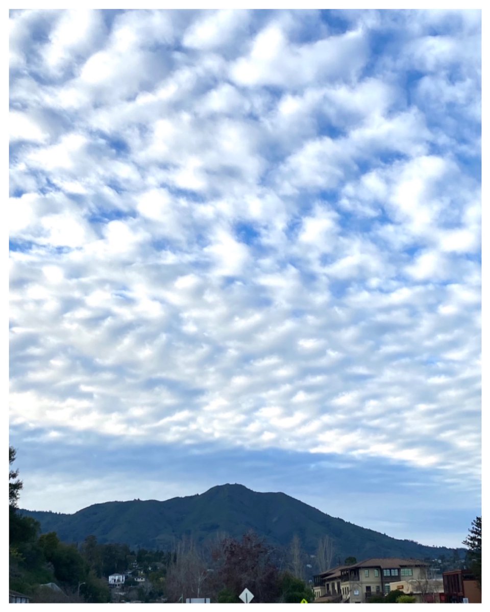 Afternoon clouds <a href="/mttamsportspine/">Mt Tam Sport & Spine</a> 

#saytwowords #millvalley #marin #clouds #cloudformation