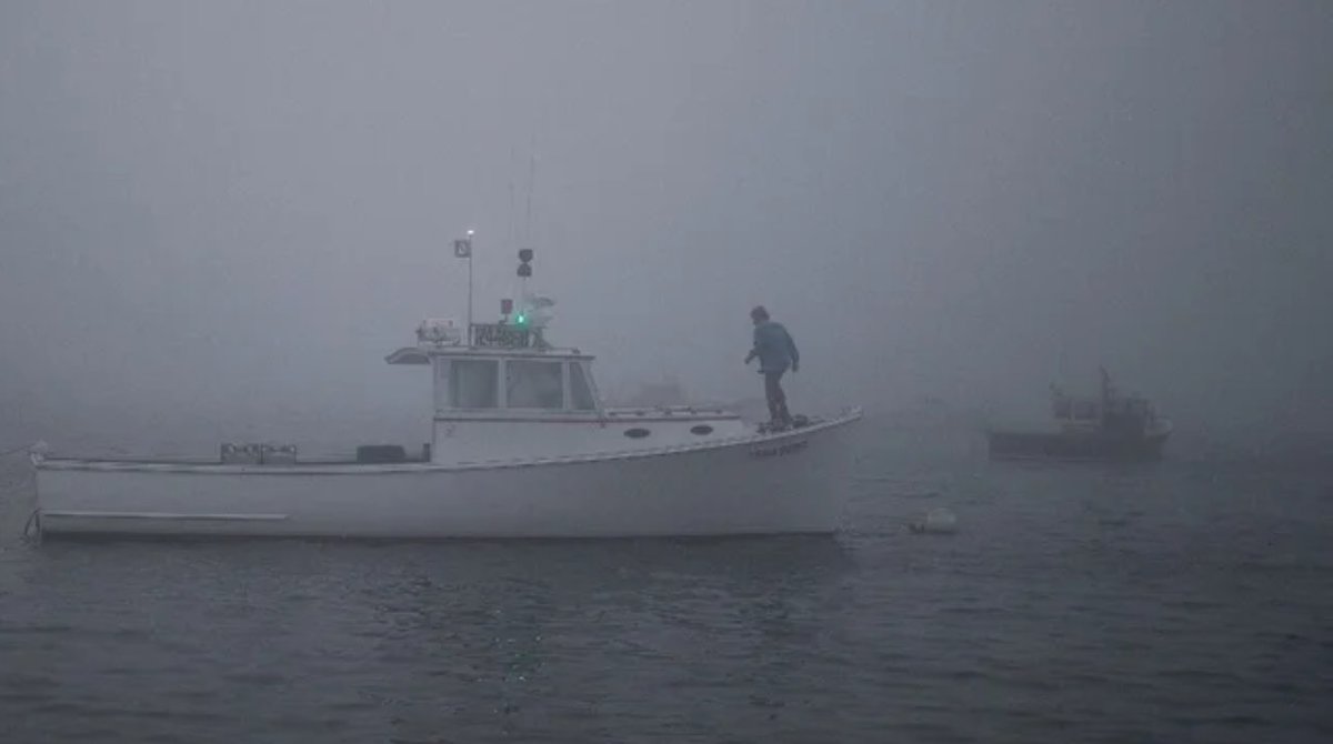 CaFishing's tweet photo. Setting Biden's seafood policy table
Fishermen have been invited to be partners with the Biden administration on ocean policy and we are prepared to engage.  https://t.co/guQtqtaOm4 https://t.co/wzqaYhQueu