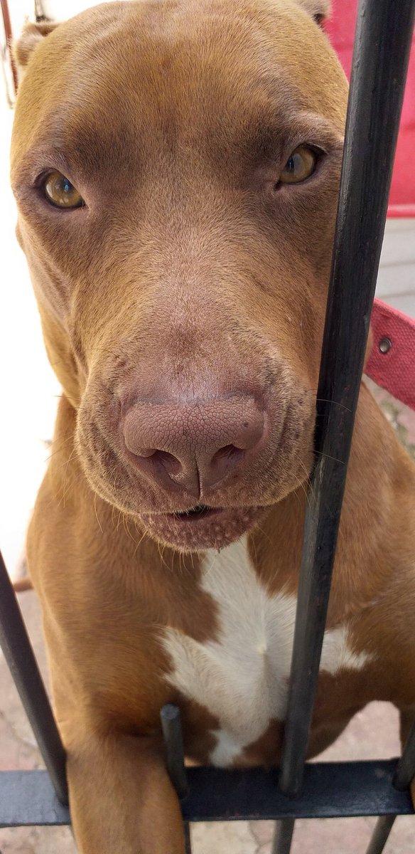 inevertrust's tweet image. #EnAgostoSeVota  💪🏻💪🏻