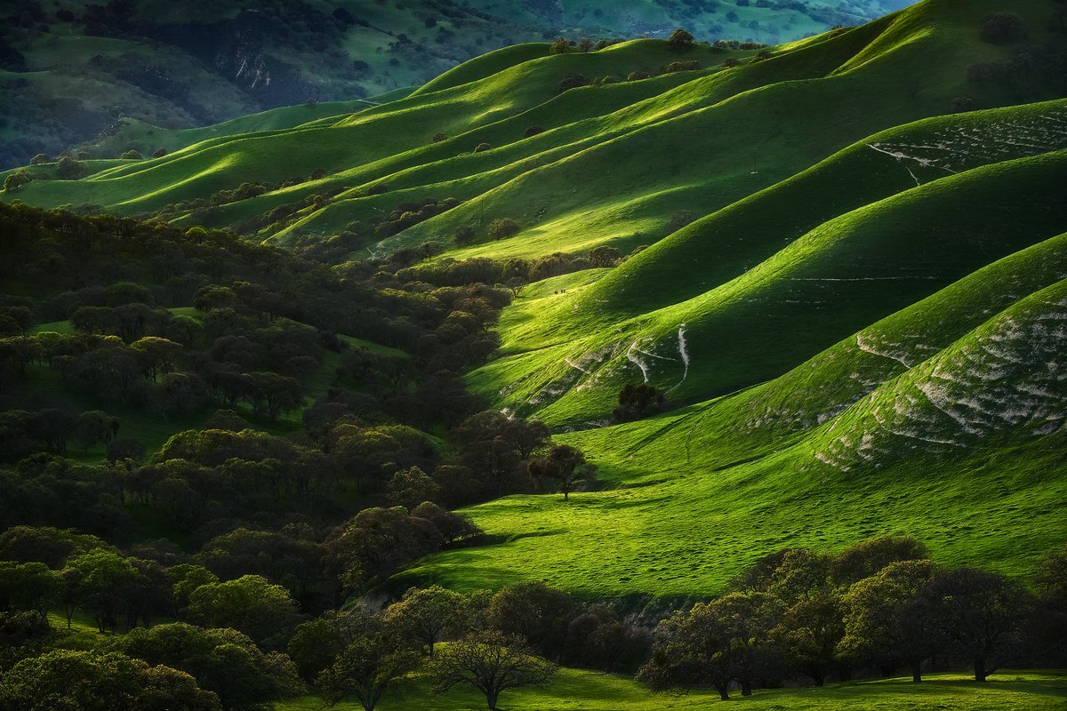 Rolling hills. Hills. Hill. Rolling Emerald Hill Ireland.