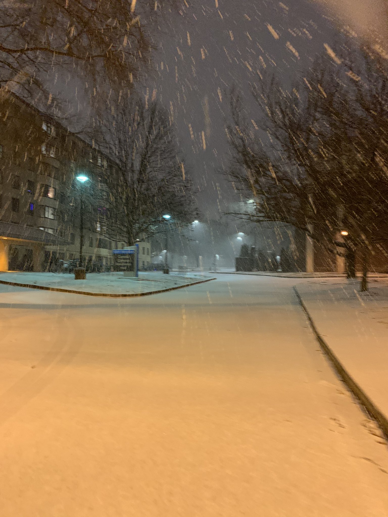 Euby on Twitter "It’s snowing in Alabama. I am very happy.…