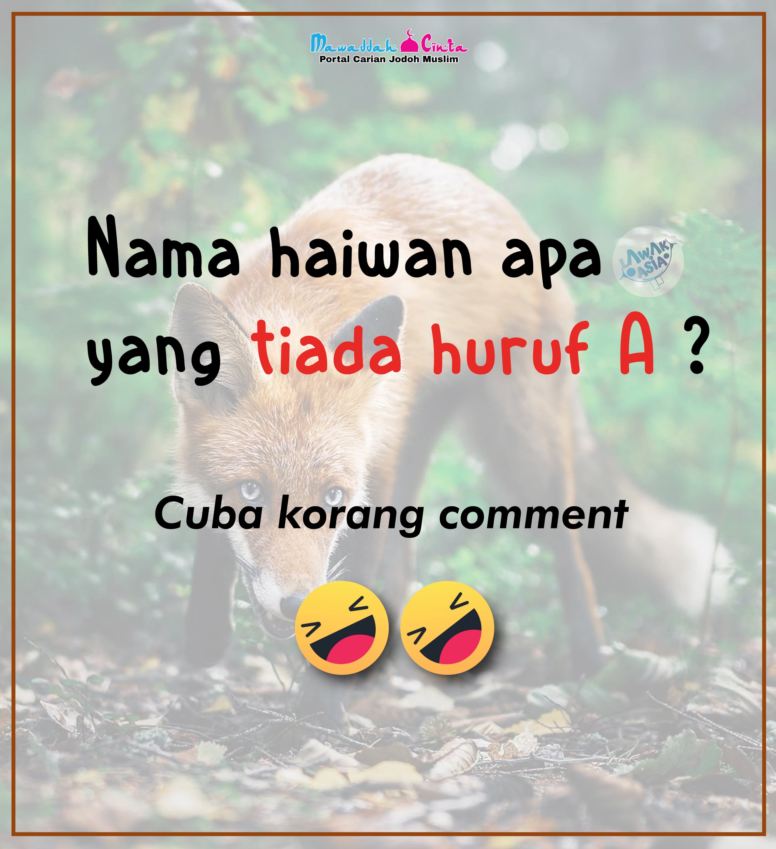 Haiwan Yang Tiada Huruf a
