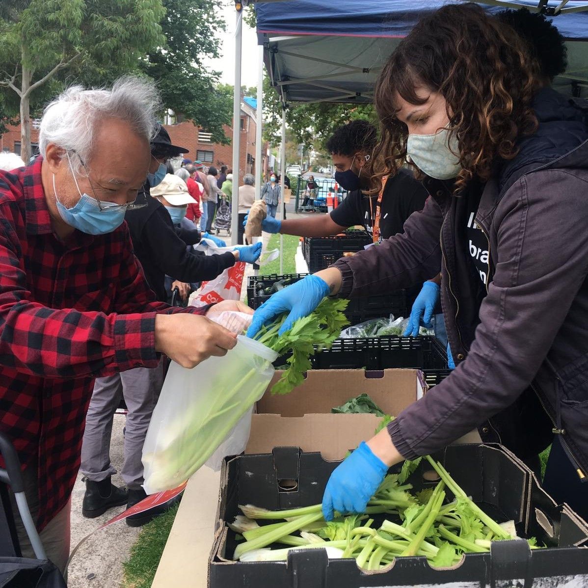 Yarra Libraries (@yarralibraries) on Twitter photo Friday Foodbank is going ahead 🥳
With the circuit-breaker lockdown coming to an end, we are excited to announce that the Friday Foodbank at Atherton Gardens will be going ahead!
We'll see you there tomorrow, along with our amazing partners <a href="/OpnTbl/">Open Table</a> and <a href="/Cultivating_Com/">Cultivating Community</a> Friday Foodbank is going ahead 🥳
With the circuit-breaker lockdown coming to an end, we are excited to announce that the Friday Foodbank at Atherton Gardens will be going ahead!
We'll see you there tomorrow, along with our amazing partners <a href="/OpnTbl/">Open Table</a> and <a href="/Cultivating_Com/">Cultivating Community</a>