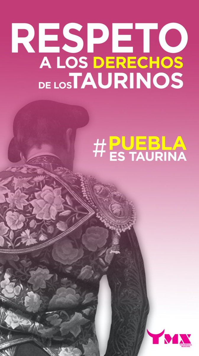 paulina gordoa (@paulinagordoa) on Twitter photo 