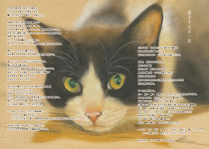 一筆箋 目羅健嗣 猫イラスト 大人女性の 猫イラスト 一筆箋 目羅健嗣 猫イラスト 大人女性の 猫イラスト