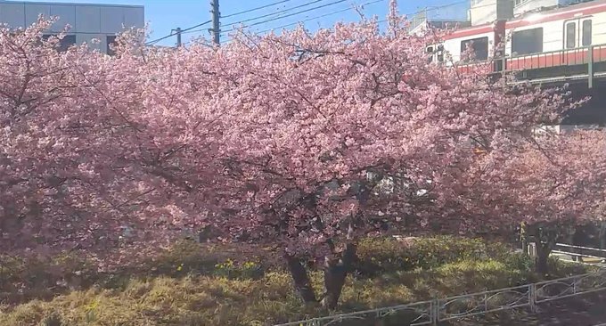 ライブカメラdb Livecam Db Twilog