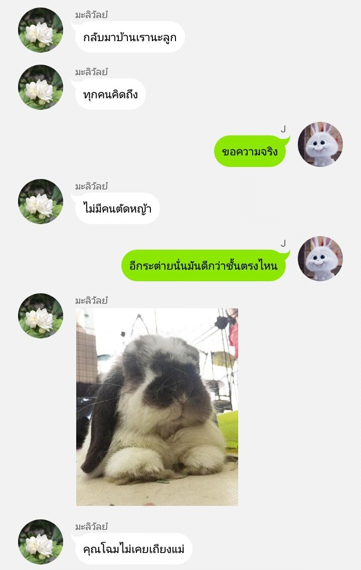 🦊꒰ หม้อไฟ ꒱🔥 tweet media