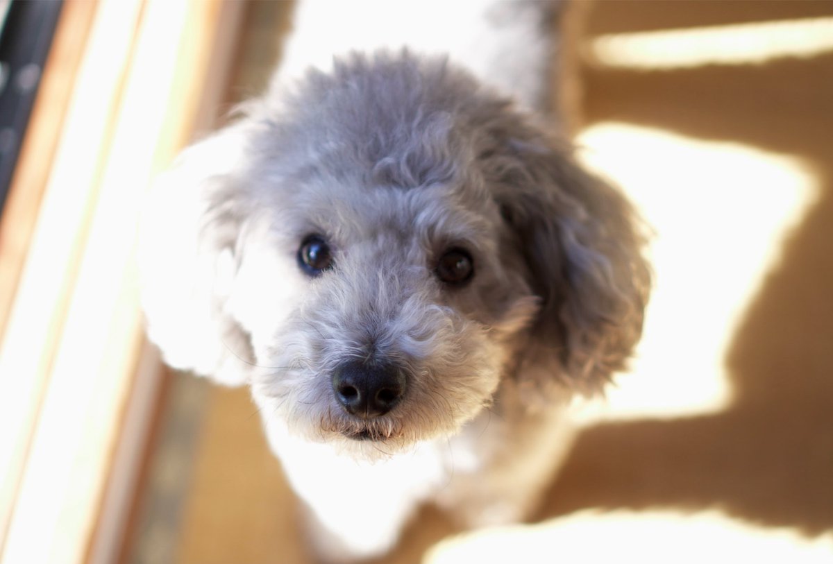 油木田一清 朝どれグリィ T Co X0vxscbe3z Twitter