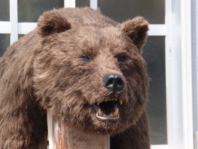 熊さんのtwitterイラスト検索結果 古い順 熊さんのtwitterイラスト検索結果 古い順