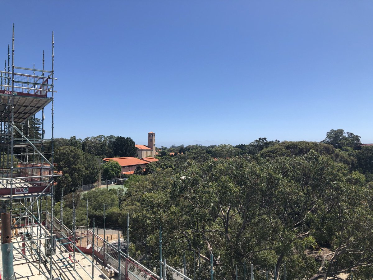 Trevor Humphreys tweet media