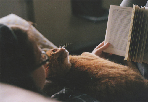 englishlear's tweet photo. Stem from - phrasal verb
   تعني ينبع من  او بسبب > شخص او شئ 

My love of reading stems from my friend.
 
Most of his health problems stem from smoking.
 
#تمبلريات  #تمبلريات_إنجليزية  #تمبلر  #انجليزي 
#موسي_الخنيزي https://t.co/HFYxACp7Wb