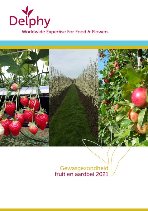 DelphyNL (@delphynl) on Twitter photo Vernieuwd en nu te bestellen! Gids Gewasgezondheid Fruit èn Aardbei delphy.nl/news/nieuwe-gi… Vernieuwd en nu te bestellen! Gids Gewasgezondheid Fruit èn Aardbei delphy.nl/news/nieuwe-gi…