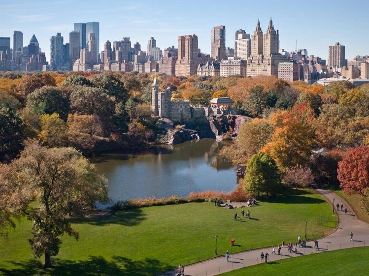 Central Park, NYC, USA; song: Tiny Love