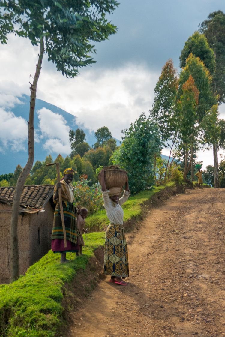 Congo; song: L’amour fait ce qu’il veut