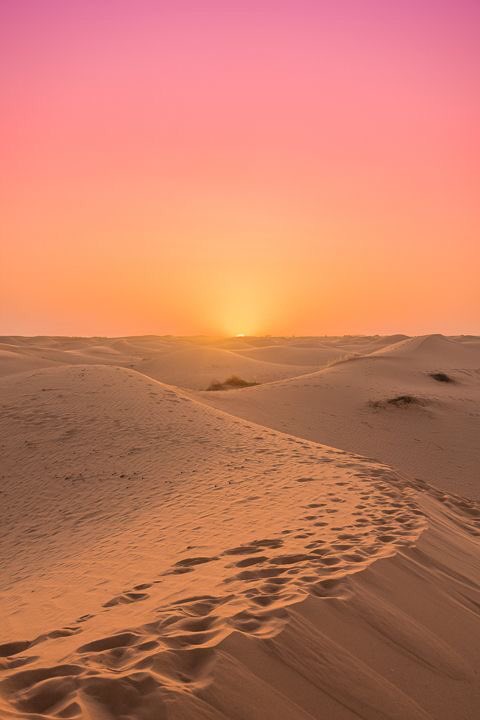 The Sahara desert; song: L’amour fait ce qu’il veut