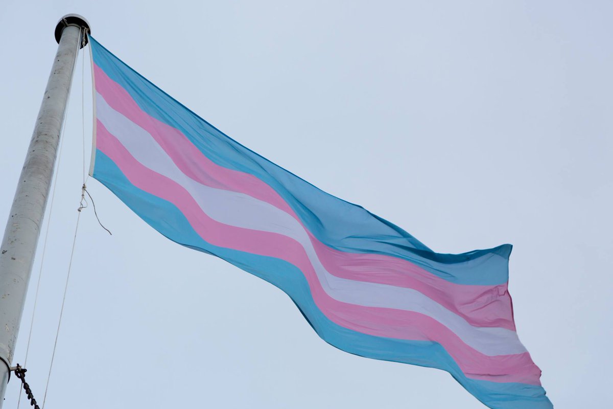 [5/8] Which brings us onto the Transgender Pride Flag, seen here raised high above the (former) Transport for London HQ. Designed by Monica Helms in 1999, it celebrates a range of trans identities, including non-binary, genderqueer and more.   @TfL