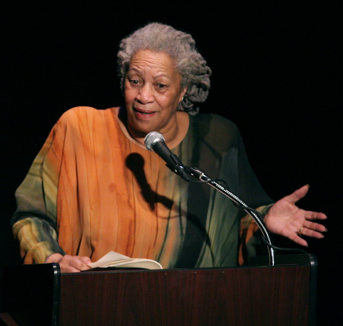 "There is no time for despair, no place for self-pity, no need for silence, no room for fear. We speak, we write, we do language. That is how civilizations heal."     ~ Toni Morrison
