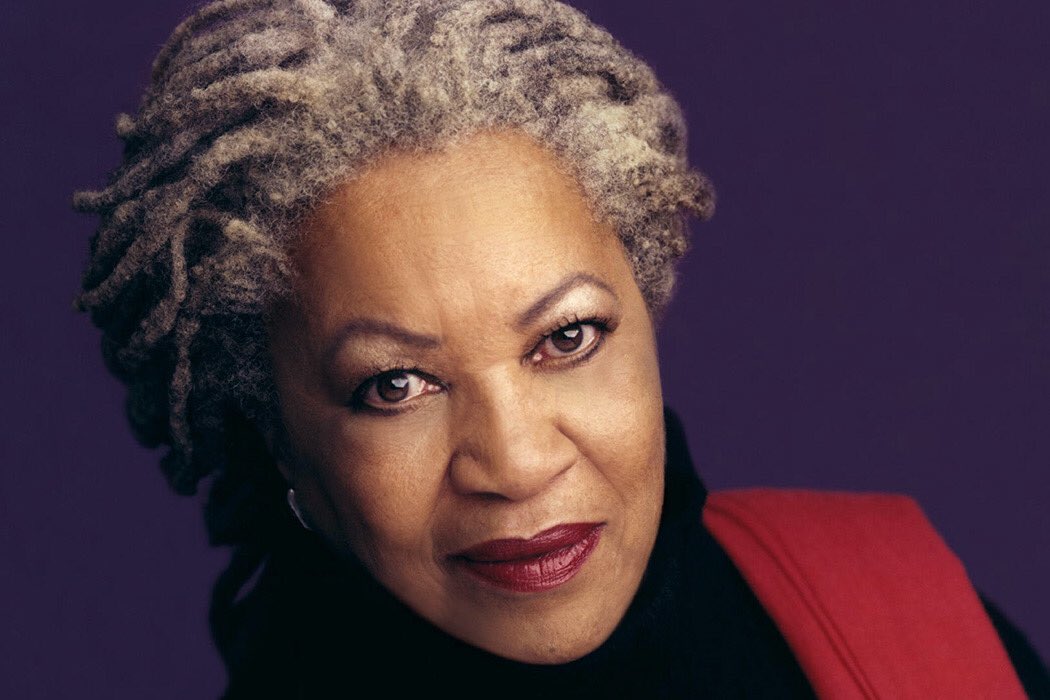 "There is no such thing as race. None. There is just a human race - scientifically, anthropologically. Racism is a construct, a social construct... it has a social function, racism."      ~ Toni Morrison