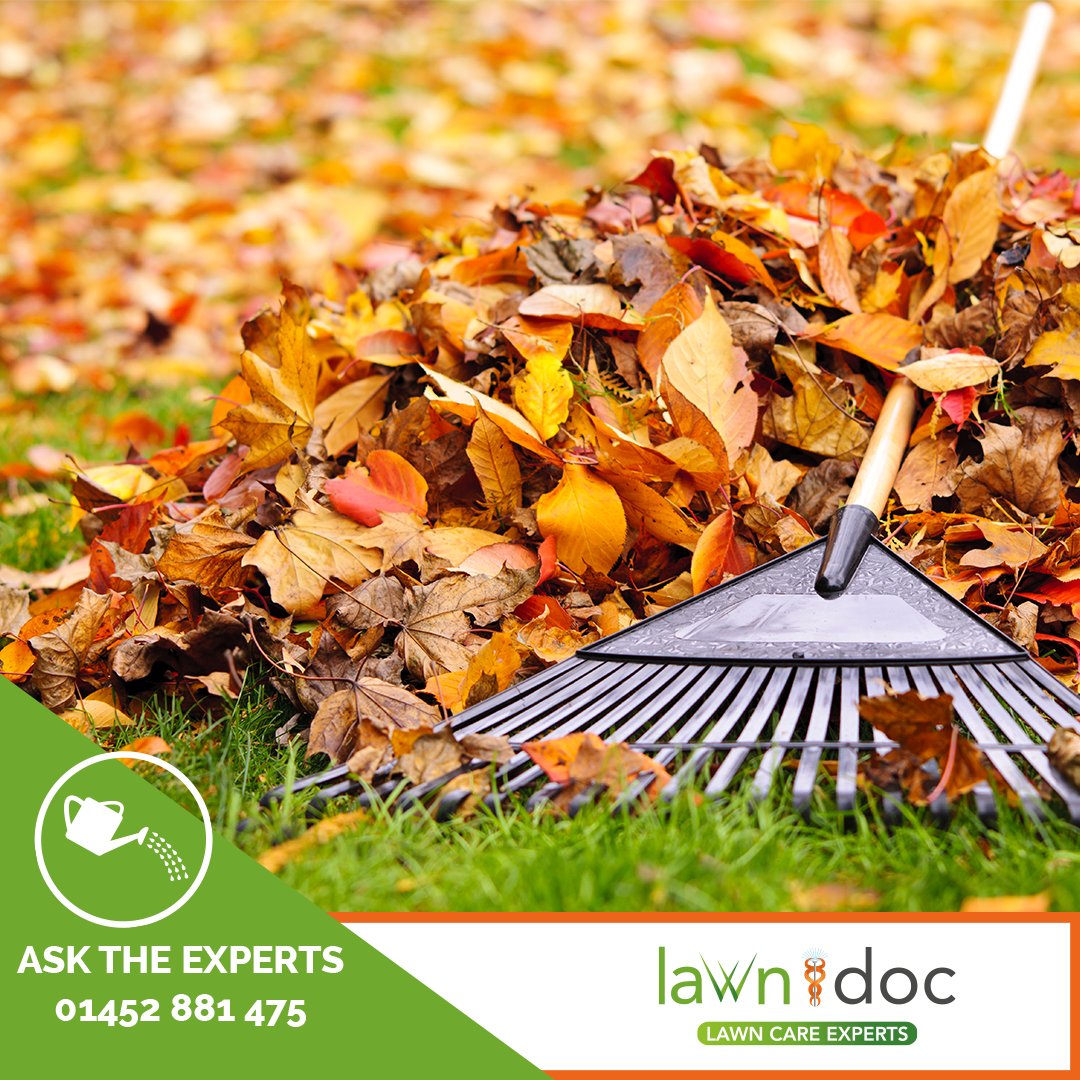 Lawn Doc tweet media