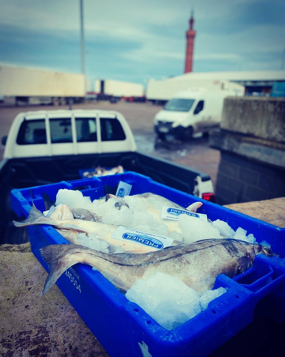 Stunning Grimsby haddock. Going to have these beauties cured at a traditional smokehouses evening. The cold North Sea winds this time of year on the east coast blend perfectly with the traditional smoking methods employed. The best product Grimsby has to offer #MadeGreatinGrimsby