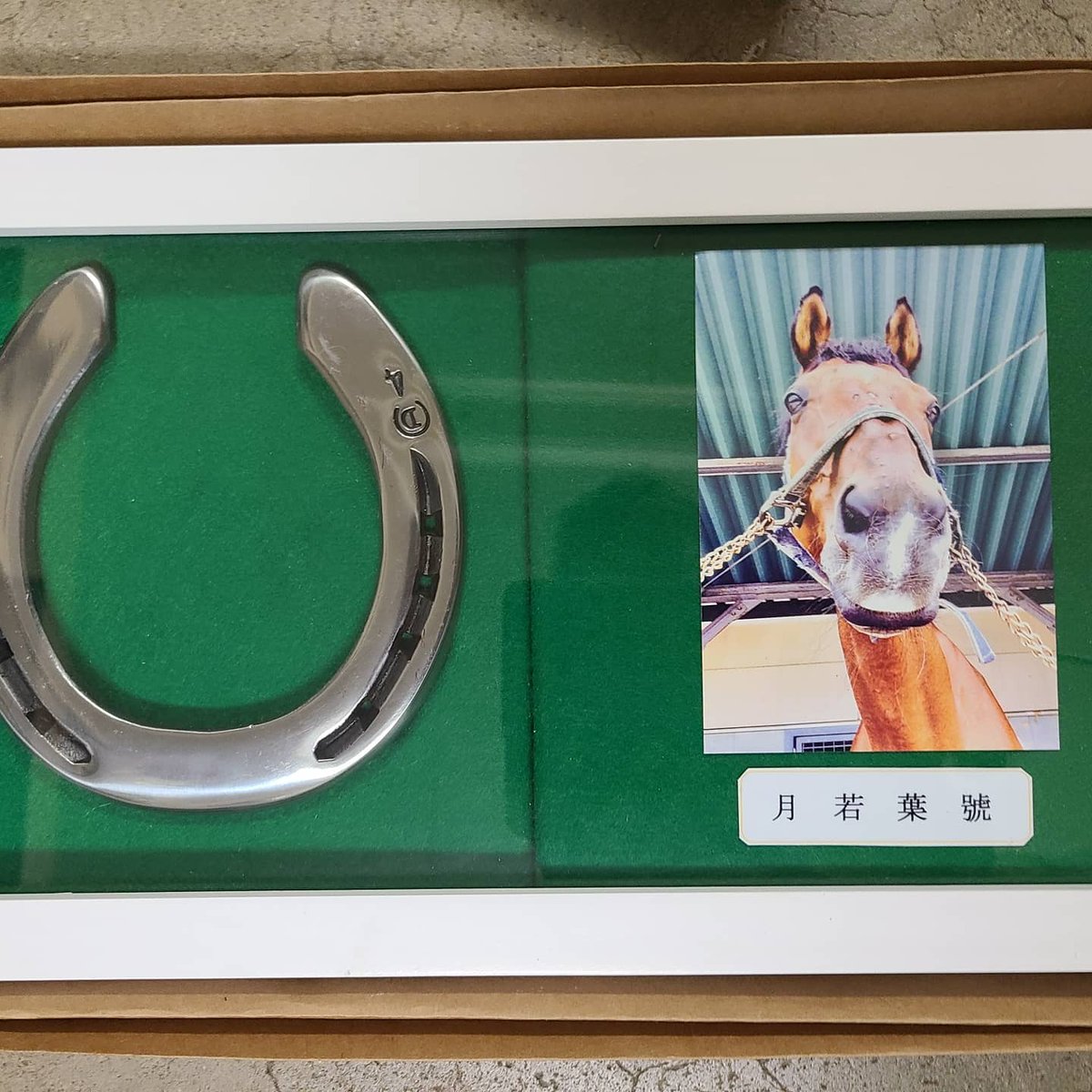 開運蹄鉄 円や Maruya Teitetsu Twitter 開運蹄鉄 円や Maruya Teitetsu Twitter