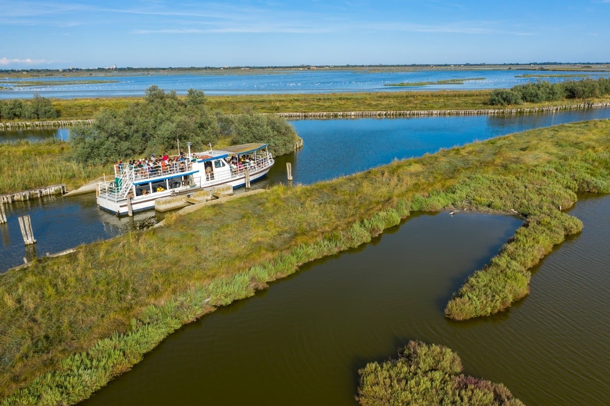 VisitComacchio tweet media