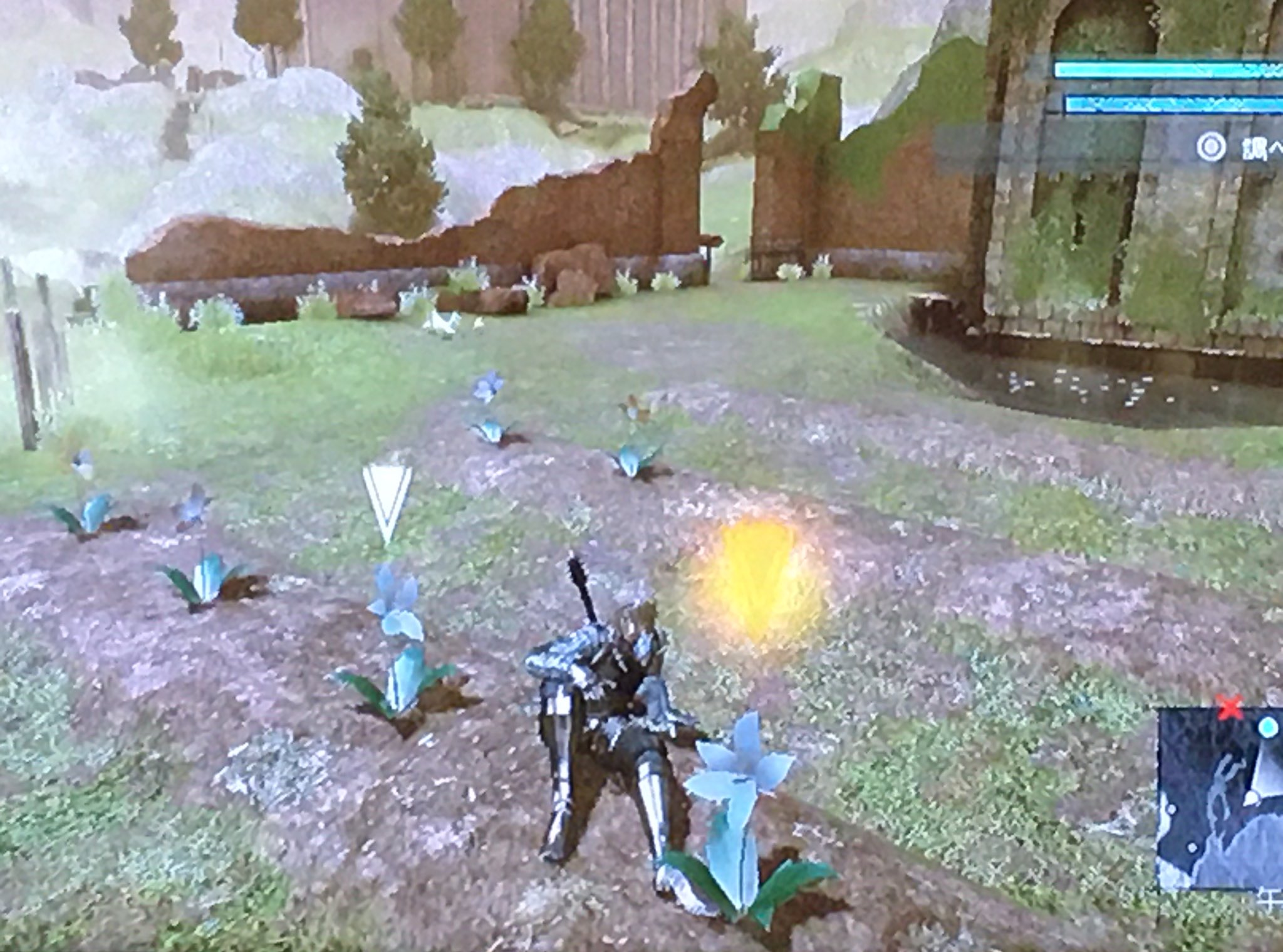 あられ 錯乱 天使 あー やっと生えた 月光草の花 白 三つの畝にひたすら橙と桃の種を植えて待って収穫 どんだけ時間かかったか 運悪すぎた ニーアレプリカント Nierreplicant Ps3