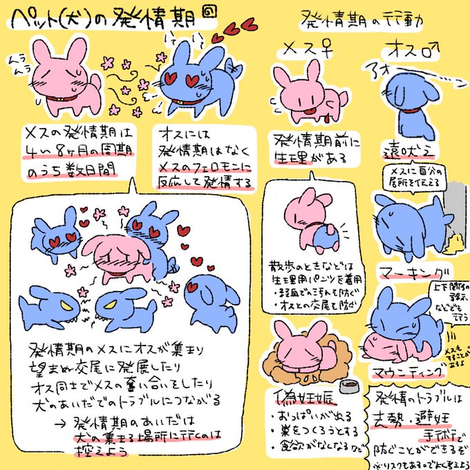 【資料】ペット(犬)の発情期 #モブうさぎ 