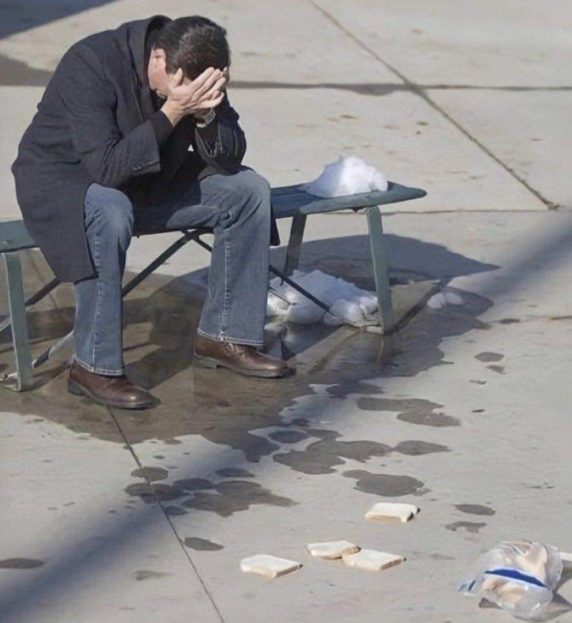 Toonzatt's tweet image. مش هفكر فى الموضوع ده تانى وزى ماتيجى تيجى بقى .
انا طول اليوم :