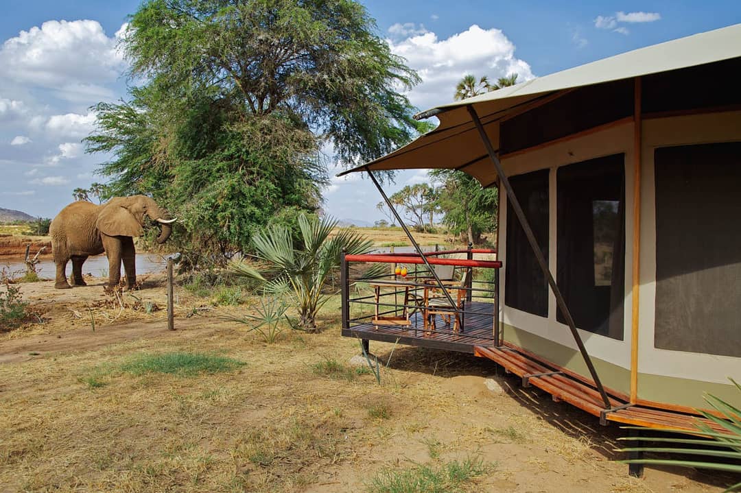 hansesaliq's tweet photo. ยฆ-Northโค๏ธ
ยฆ-Wild Wild Get Away๐๐๐๐ฆ๐ฆจ๐
๐-Samburu - Ashnil Camp๐๏ธ
From as low as Ksh 26, 100 bob per person on full board basis!!!!,๐
๐-07 680 725 34 or 07 013 020 35
Tembea Kenya๐ฐ๐ช
Usishinde kwa nyumba hii mwaka kama bulb๐
#RutoOverrated #Ruto #KenyaProject
#BBIHalf https://t.co/1KBmDTp5sz