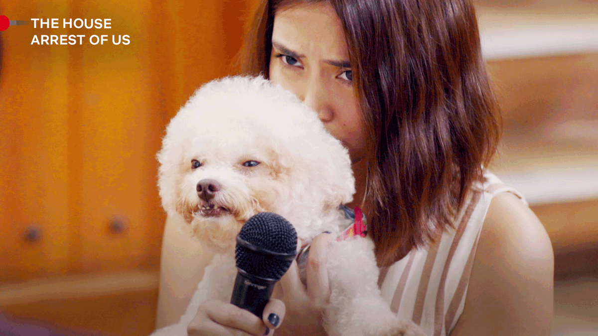 Netflix_PH's tweet photo. Make way for Summer Ford, the true star of The House Arrest of Us 🥺🐶 https://t.co/bDTwvqG9hb