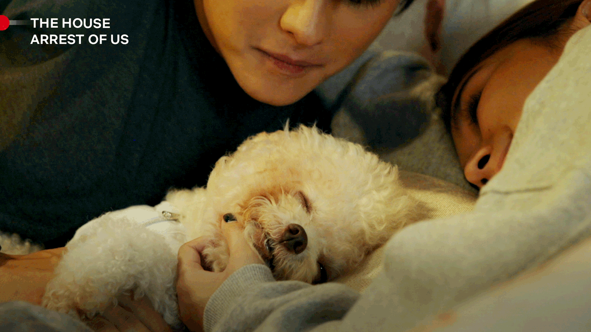 Netflix_PH's tweet photo. Make way for Summer Ford, the true star of The House Arrest of Us 🥺🐶 https://t.co/bDTwvqG9hb