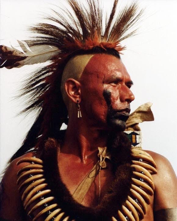 These two films were the death nails in the coffin of the western.Showing a more realistic portrayal of the violence and the humanization of Indigenous peoples changed the landscape of the western as filmmakers could not go back to the old tropes of the genre.8)